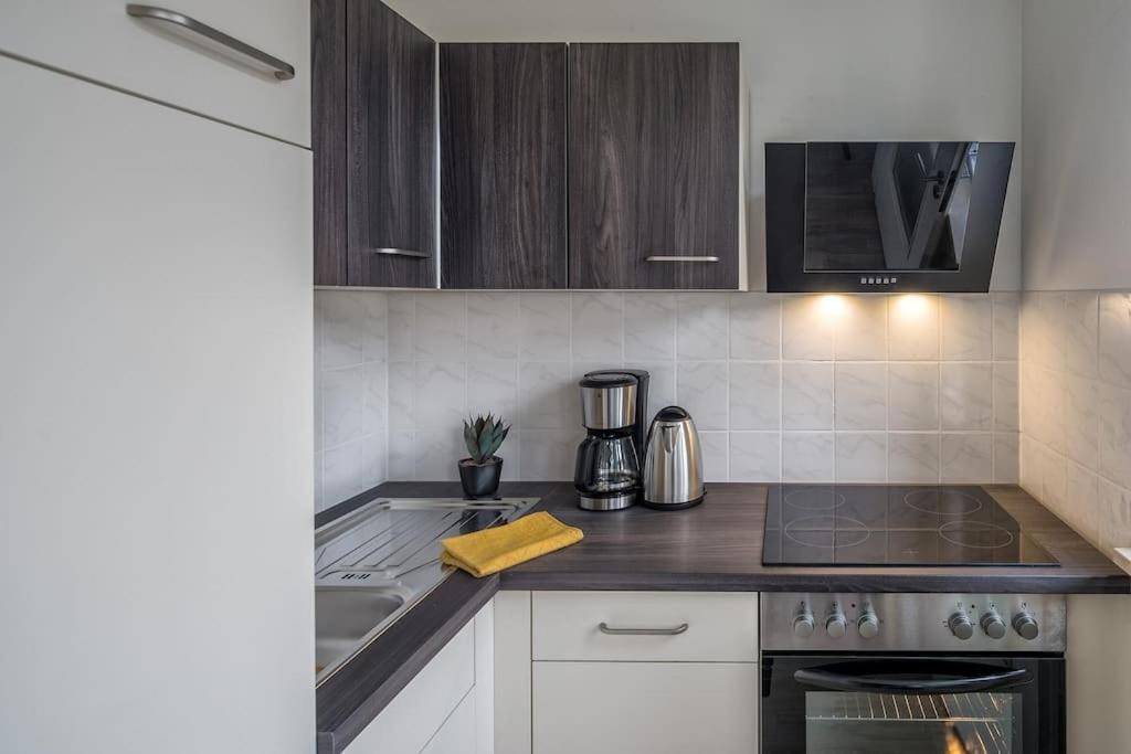 Cozy Apartment I Zentrumsnah I Wlan Dresden Bagian luar foto